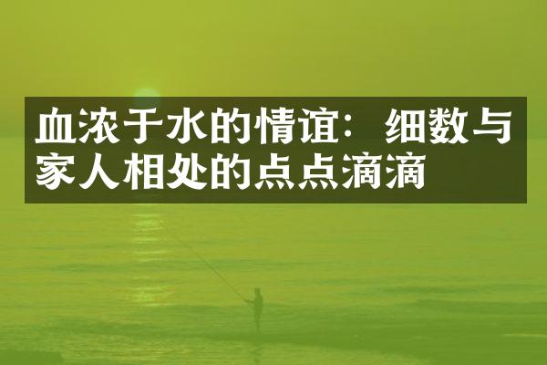 血浓于水的情谊：细数与家人相处的点点滴滴
