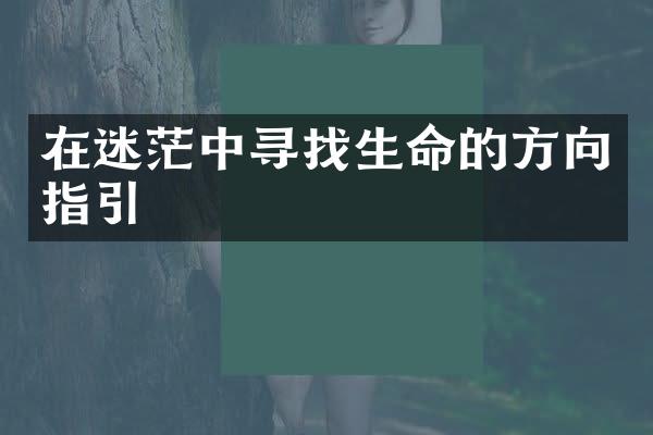在迷茫中寻找生命的方向指引