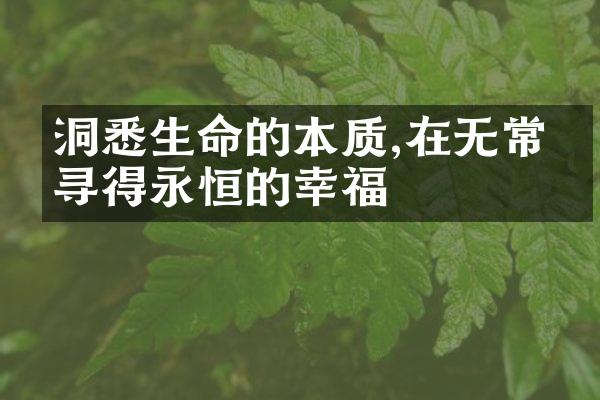 洞悉生命的本质,在无常中寻得永恒的幸福