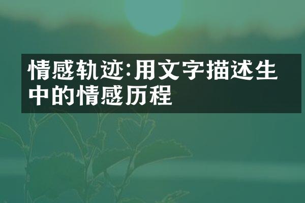 情感轨迹:用文字描述生活中的情感