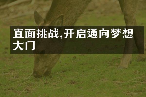 直面挑战,开启通向梦想的大门