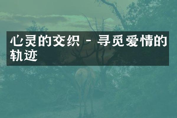 心灵的交织 - 寻觅爱情的轨迹