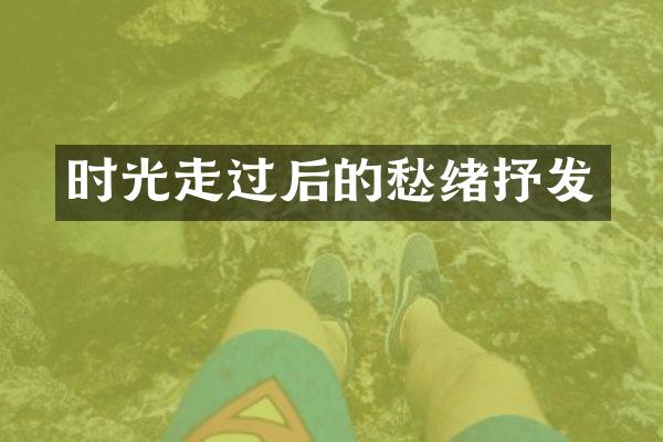 时光走过后的愁绪抒发