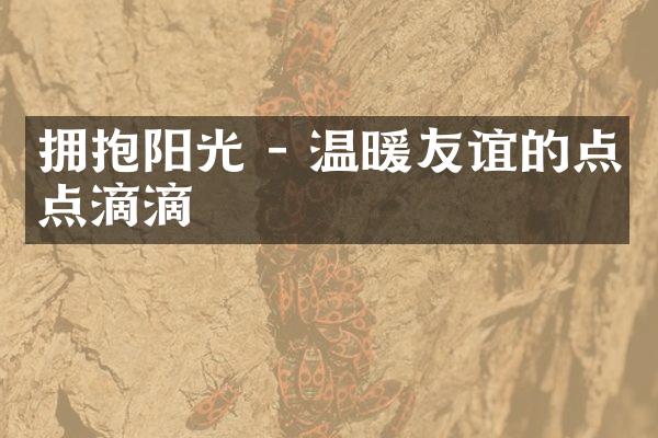 拥抱阳光 - 温暖友谊的点点滴滴