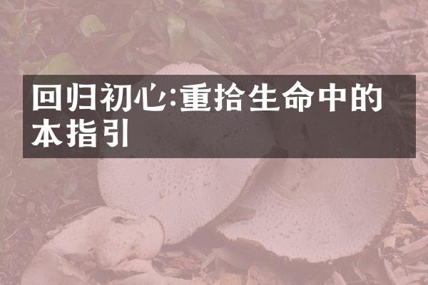 回归初心:重拾生命中的根本指引