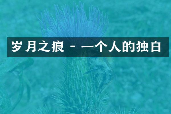 岁月之痕 - 一个人的独白