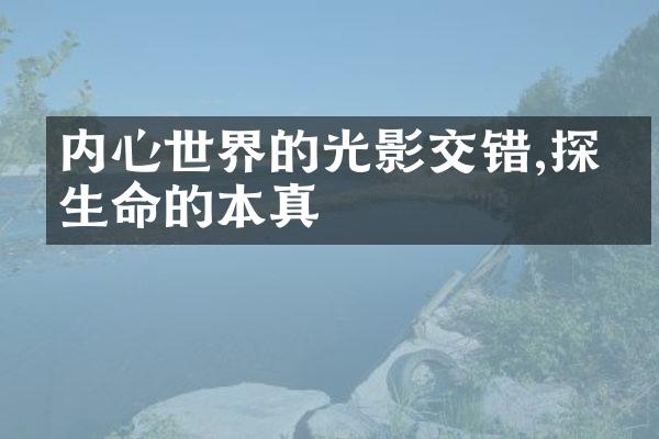 内心世界的光影交错,探寻生命的本真