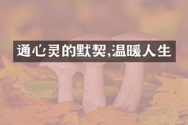 通心灵的默契,温暖人生