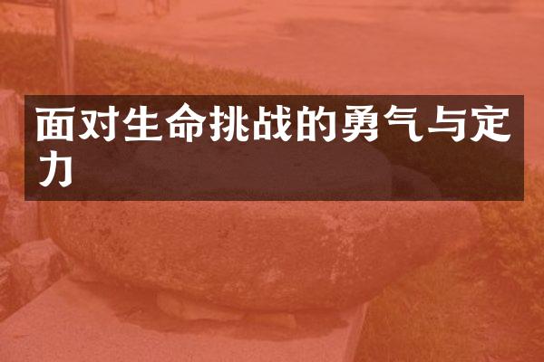 面对生命挑战的勇气与定力
