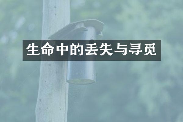 生命中的丢失与寻觅