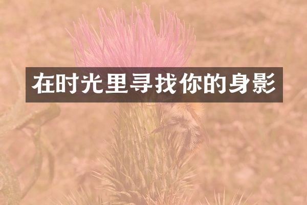 在时光里寻找你的身影