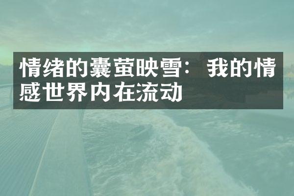 情绪的囊萤映雪：我的情感世界内在流动
