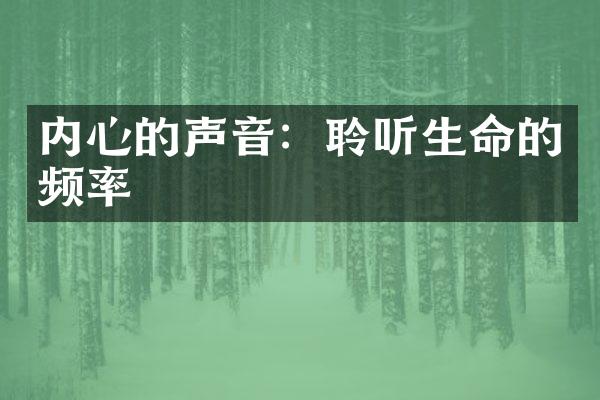 内心的声音：聆听生命的频率