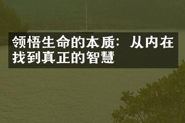 领悟生命的本质：从内在找到真正的智慧