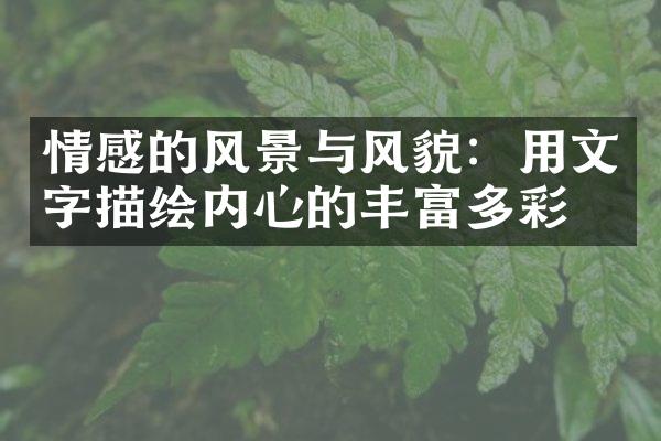 情感的风景与风貌：用文字描绘内心的丰富多彩