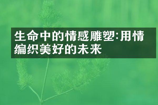 生命中的情感雕塑:用情感编织美好的未来