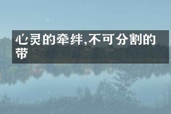 心灵的牵绊,不可分割的纽带