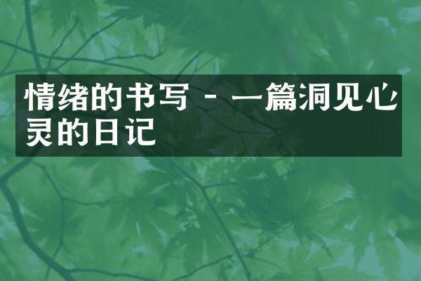 情绪的书写 - 一篇洞见心灵的日记