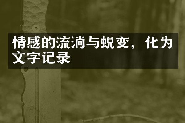 情感的流淌与蜕变，化为文字记录