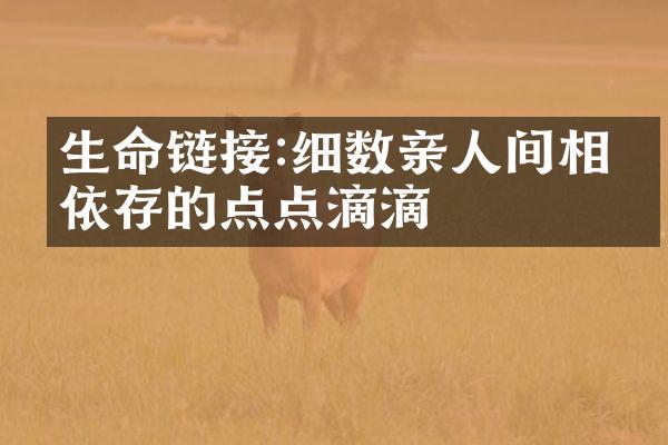 生命链接:细数亲人间相互依存的点点滴滴