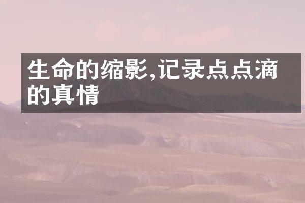 生命的缩影,记录点点滴滴的真情