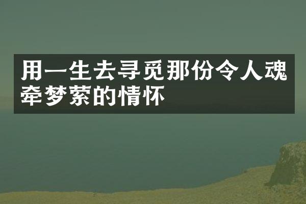 用一生去寻觅那份令人魂牵梦萦的情怀