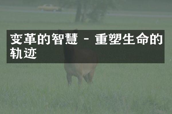 变革的智慧 - 重塑生命的轨迹