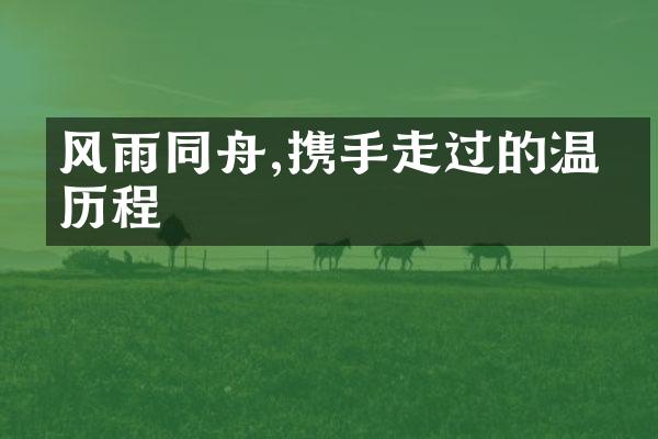 风雨同舟,携手走过的温暖