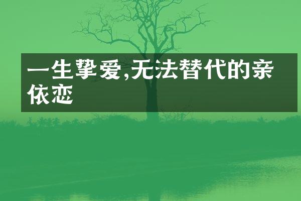 一生挚爱,无法替代的亲人依恋