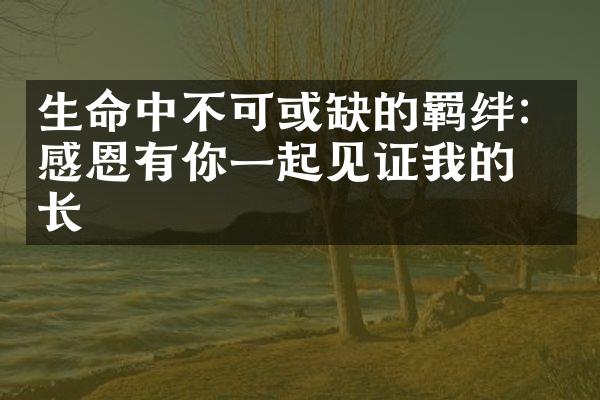 生命中不可或缺的羁绊：感恩有你一起见证我的成长