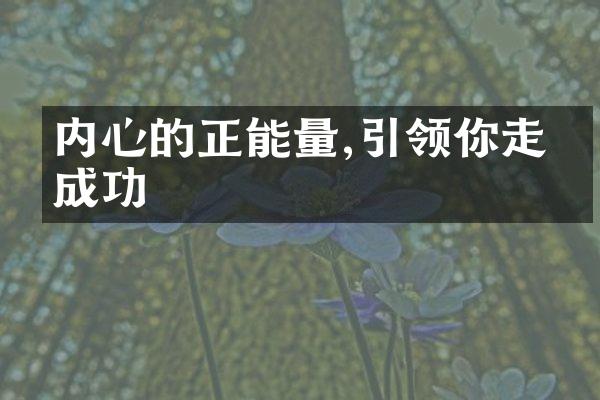 内心的正能量,引领你走向成功