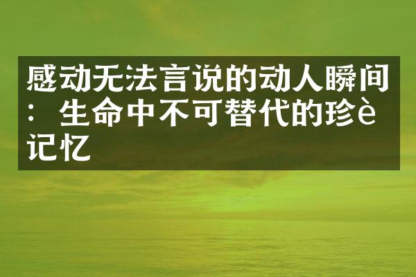 感动无法言说的动人瞬间：生命中不可替代的珍贵记忆