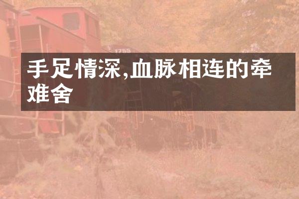手足情深,血脉相连的牵绊难舍