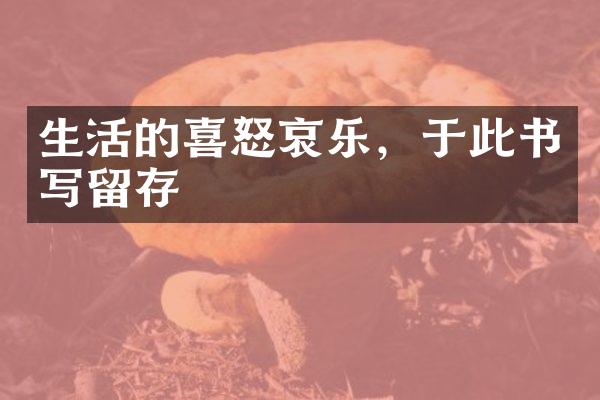 生活的喜怒哀乐，于此书写留存