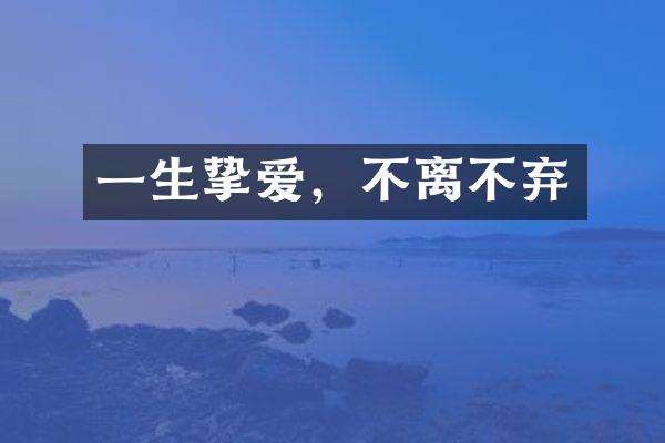 一生挚爱，不离不弃