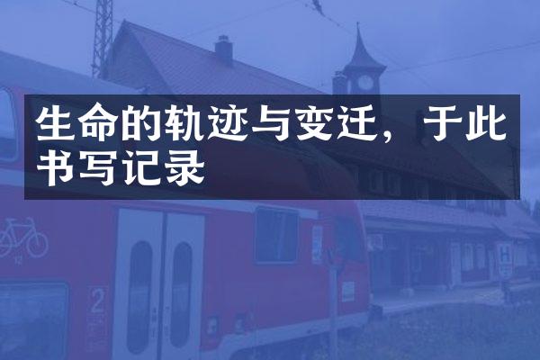 生命的轨迹与变迁，于此书写记录