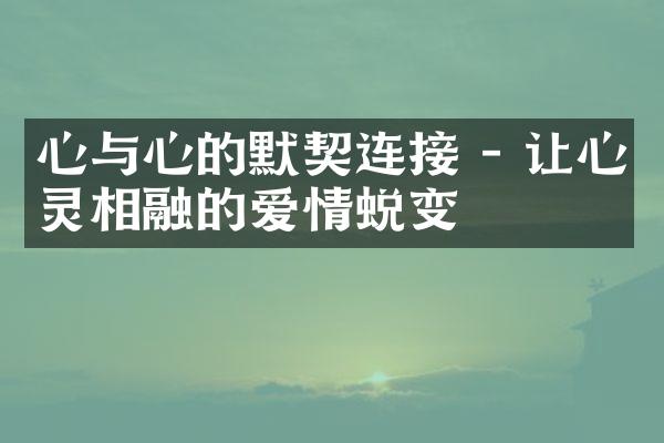 心与心的默契连接 - 让心灵相融的爱情蜕变