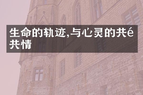 生命的轨迹,与心灵的共鸣共情