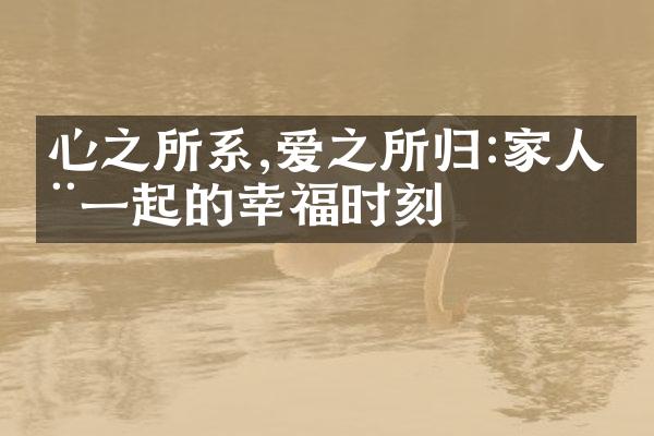 心之所系,爱之所归:家人在一起的幸福时刻
