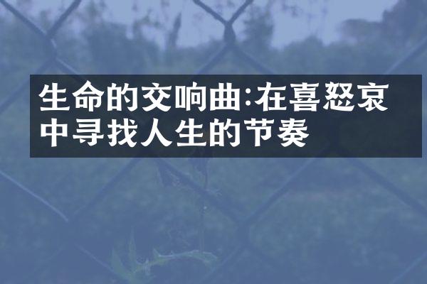 生命的交响曲:在喜怒哀乐中寻找人生的节奏