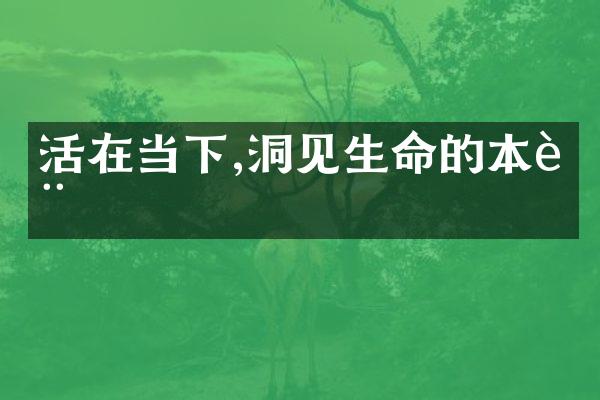 活在当下,洞见生命的本质