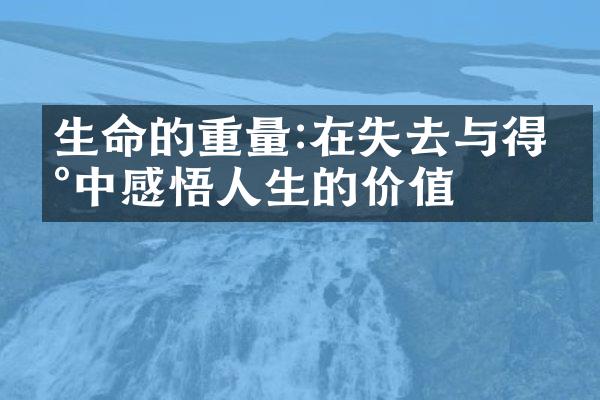 生命的重量:在失去与得到中感悟人生的价值