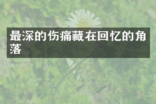 最深的伤痛藏在回忆的角落