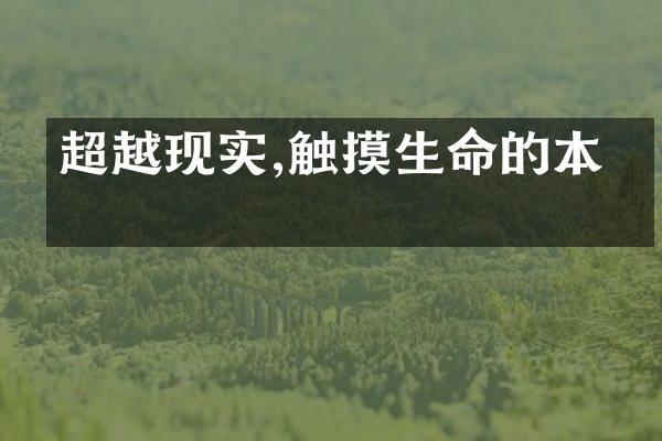 超越现实,触摸生命的本真