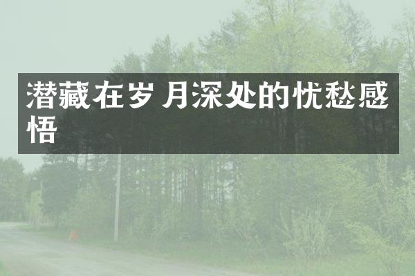 潜藏在岁月深处的忧愁感悟