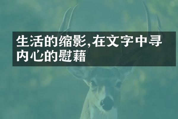 生活的缩影,在文字中寻找内心的慰藉