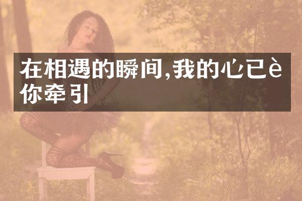 在相遇的瞬间,我的心已被你牵引