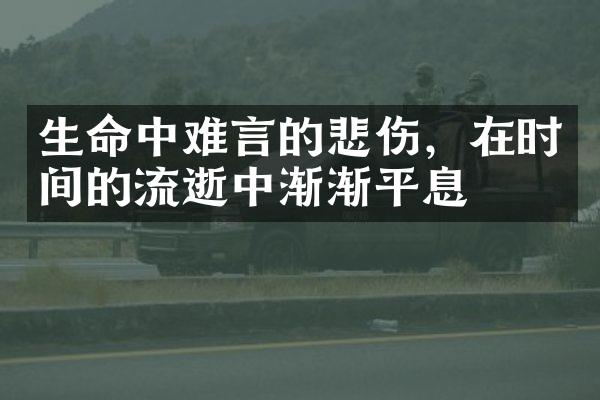 生命中难言的悲伤，在时间的流逝中渐渐平息