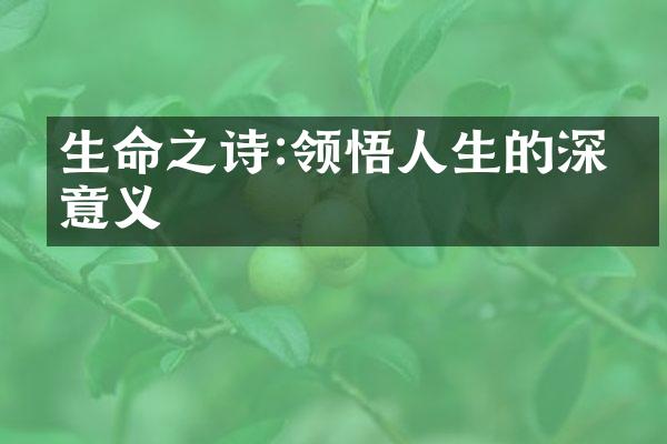 生命之诗:领悟人生的深刻意义