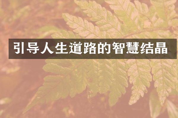引导人生道路的智慧结晶